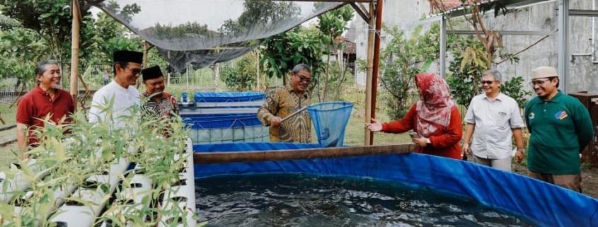 smart farming